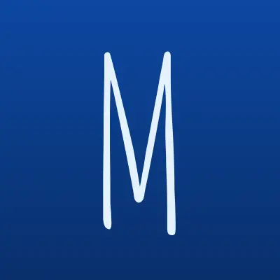 Магазин автоаксессуаров, ИП Метлицкая Н.В., лого-визитка